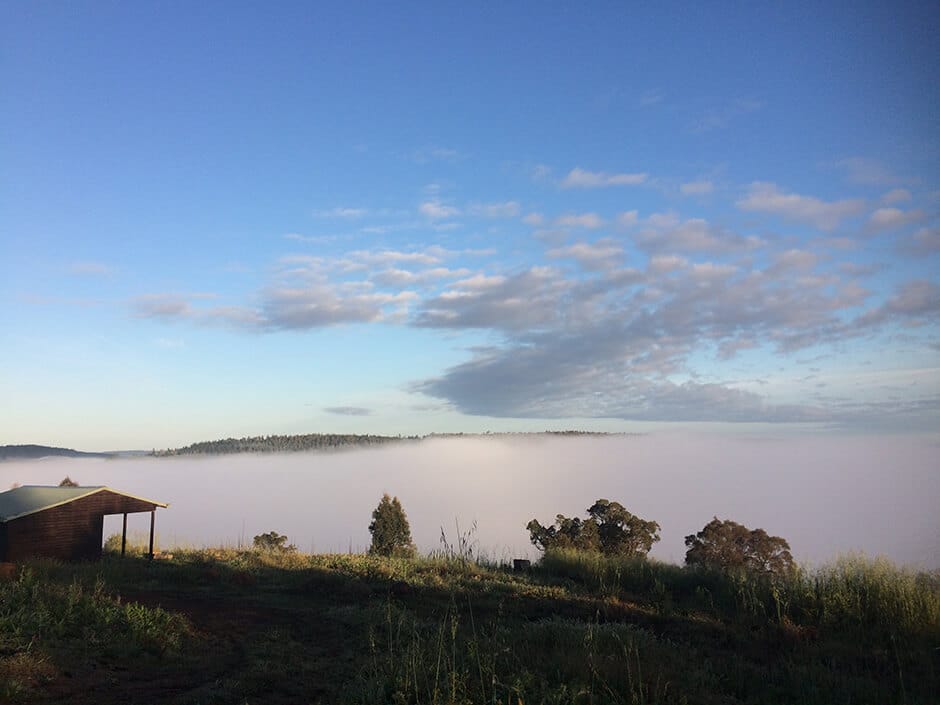 Adult treks morning mist at Blackwood hut Balingup