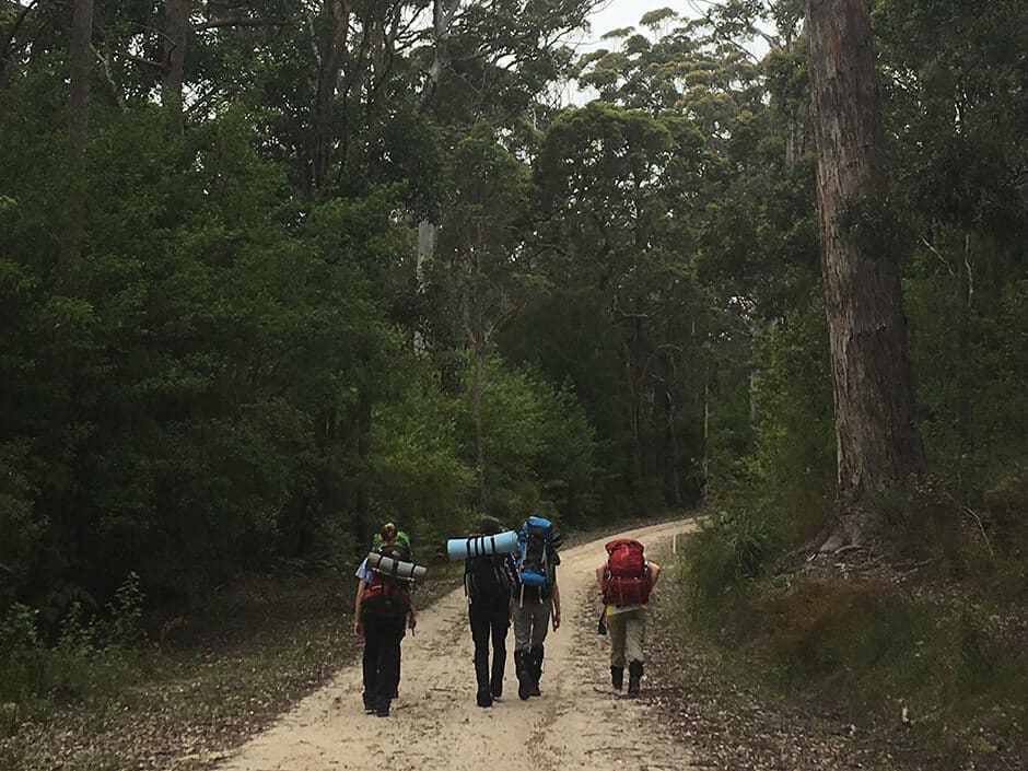 Teen trek girls walking on forest track Pemberton tall trees